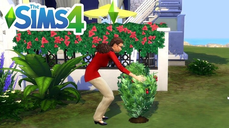 Where to Get Strawberries in Sims 4?